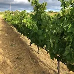 Quinta Da Aroeira *