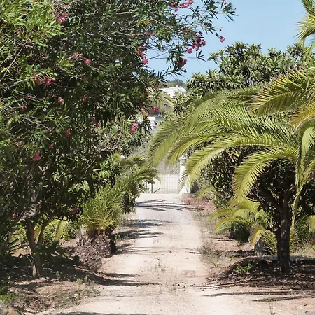 Quinta Da Aroeira فيلة *